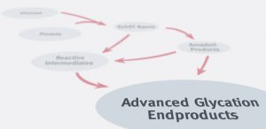 Advanced Glycation Endproducts (AGEs) Pathway